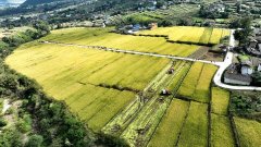 平和平静河谷“寻