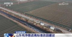 模式”已全国大部门农区光温前提利于越冬做物